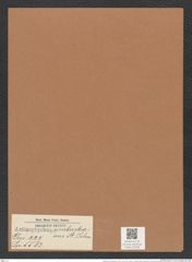 Actinoptychus simbirskianus A. Schm. (de-Toni-Nr.: Genus 227, Species 5583) Zeichnungen Sammlung Grunow Mappe 05336 (Herbarium_W_Grunow_drawings_Folder_05336)